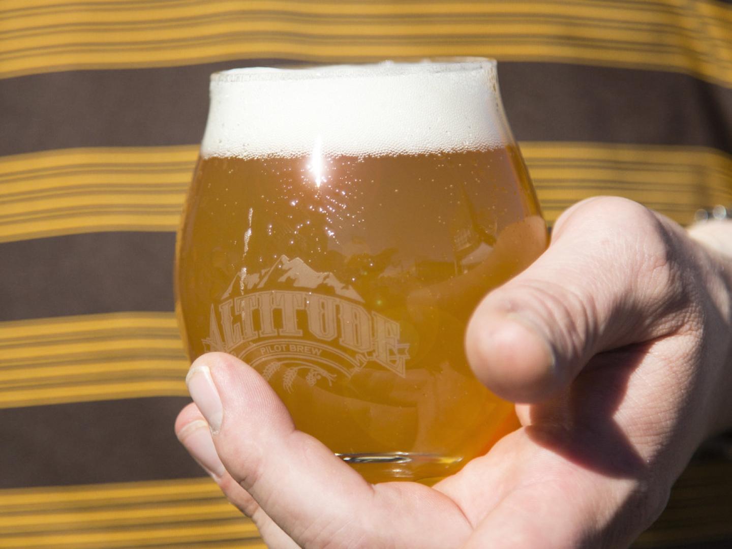 在拉勒米啤酒节上品尝手工酿造的啤酒