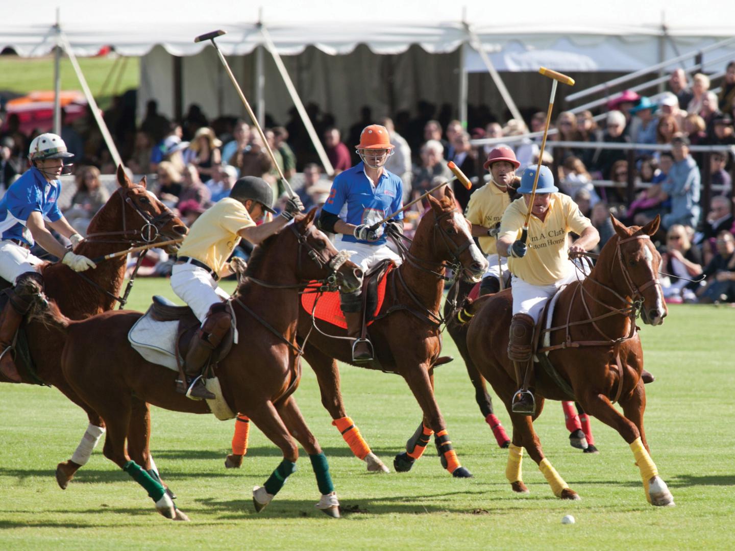 观看一场亚利桑那州 Bentley Scottsdale Polo Championship 马球赛的比赛 观看一场亚利桑那州 Bentley Scottsdale Polo Championship 马球赛的比赛