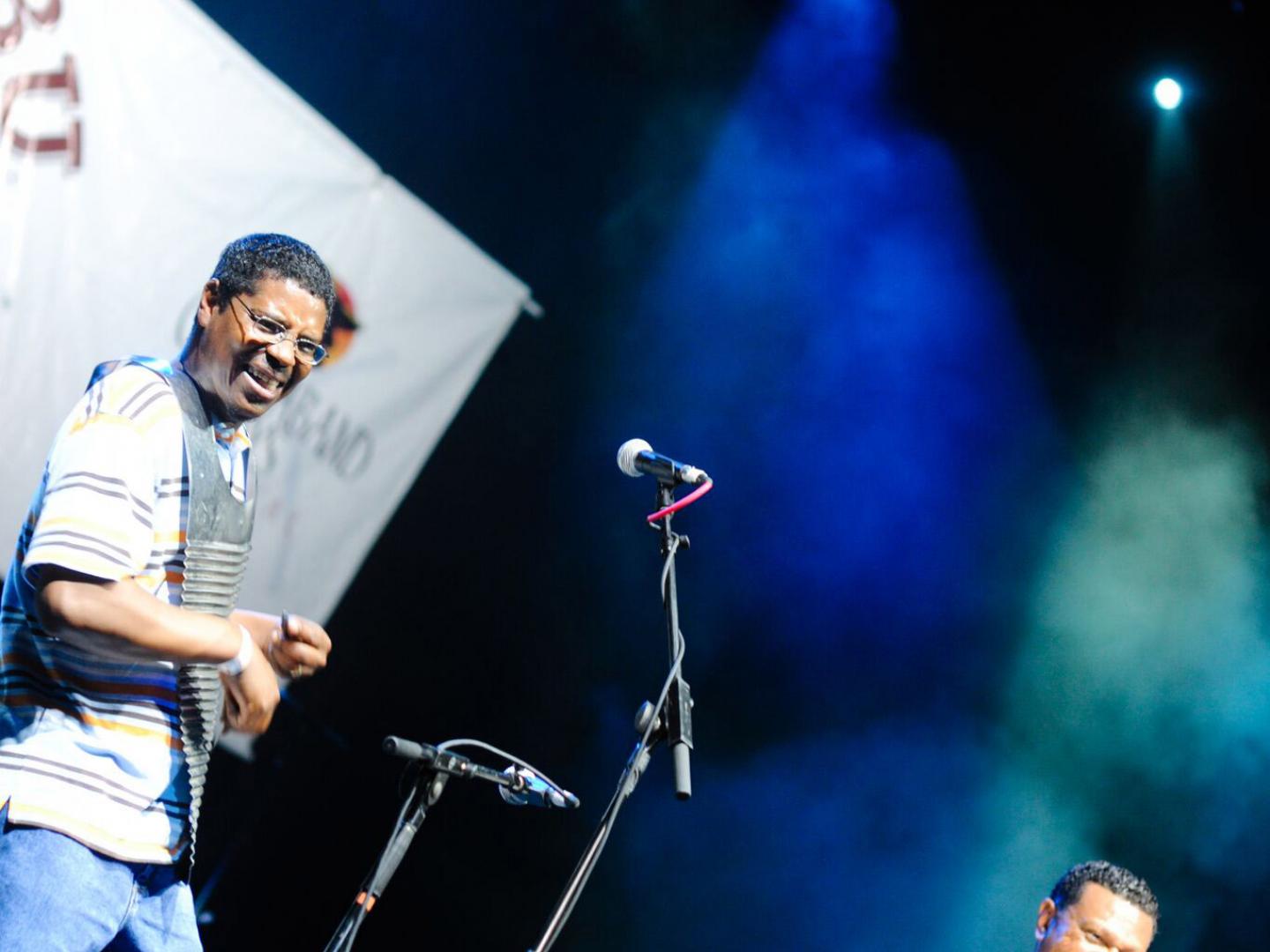 欣赏湿地节中的现场音乐表演