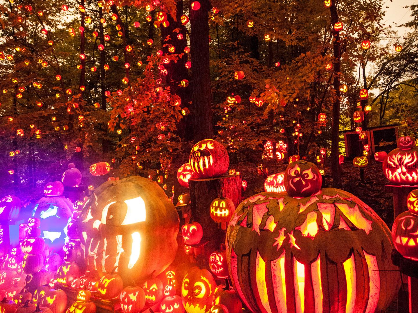 在肯塔基州路易维尔的杰克南瓜灯盛会 (Jack-O-Lantern Spectacular) 上展出成千上万的杰克南瓜灯 在肯塔基州路易维尔的杰克南瓜灯盛会 (Jack-O-Lantern Spectacular) 上展出成千上万的杰克南瓜灯