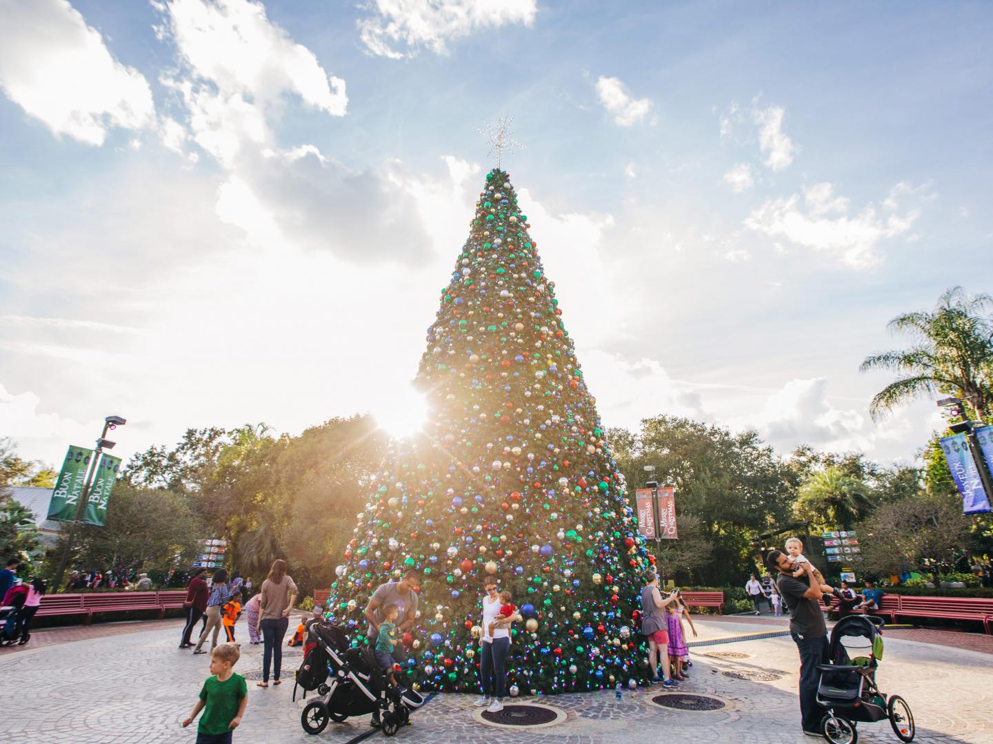 坦帕罗瑞公园动物园 (ZooTampa at Lowry Park) 野外圣诞节的节日装饰品 坦帕罗瑞公园动物园 (ZooTampa at Lowry Park) 野外圣诞节的节日装饰品