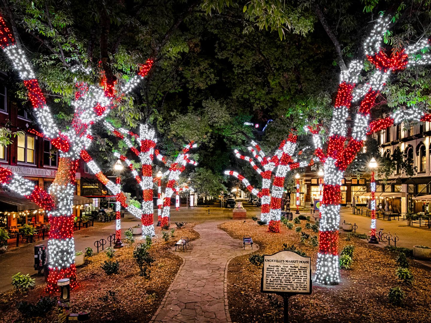 照亮田纳西州诺克斯维尔的节日灯光 照亮田纳西州诺克斯维尔的节日灯光