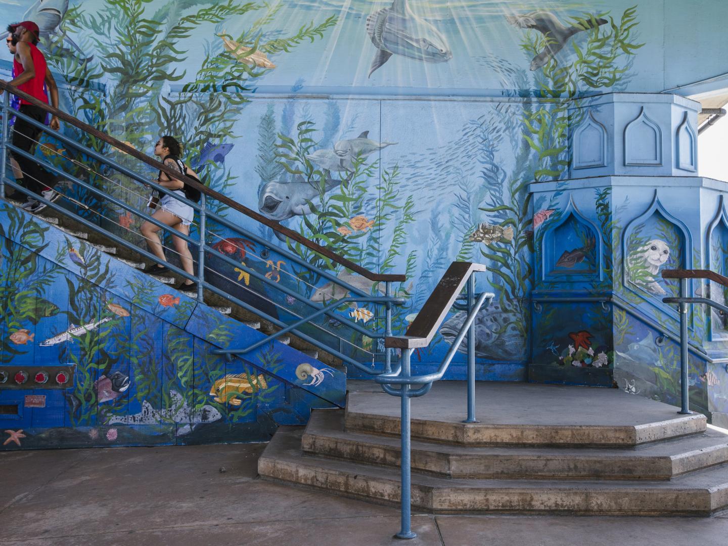 加利福尼亚州圣莫尼卡拯救海湾水族馆的壁画艺术 加利福尼亚州圣莫尼卡拯救海湾水族馆的壁画艺术