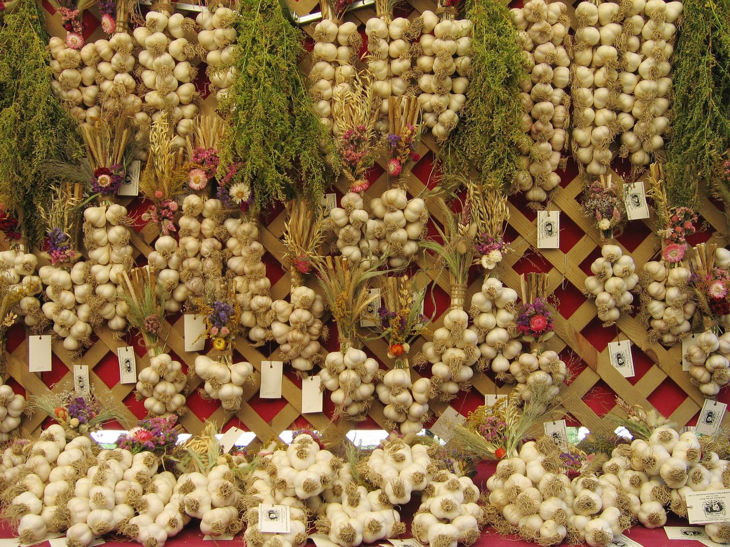 纽约州索格蒂斯 Cantine Field 公园里有趣的蒜辫