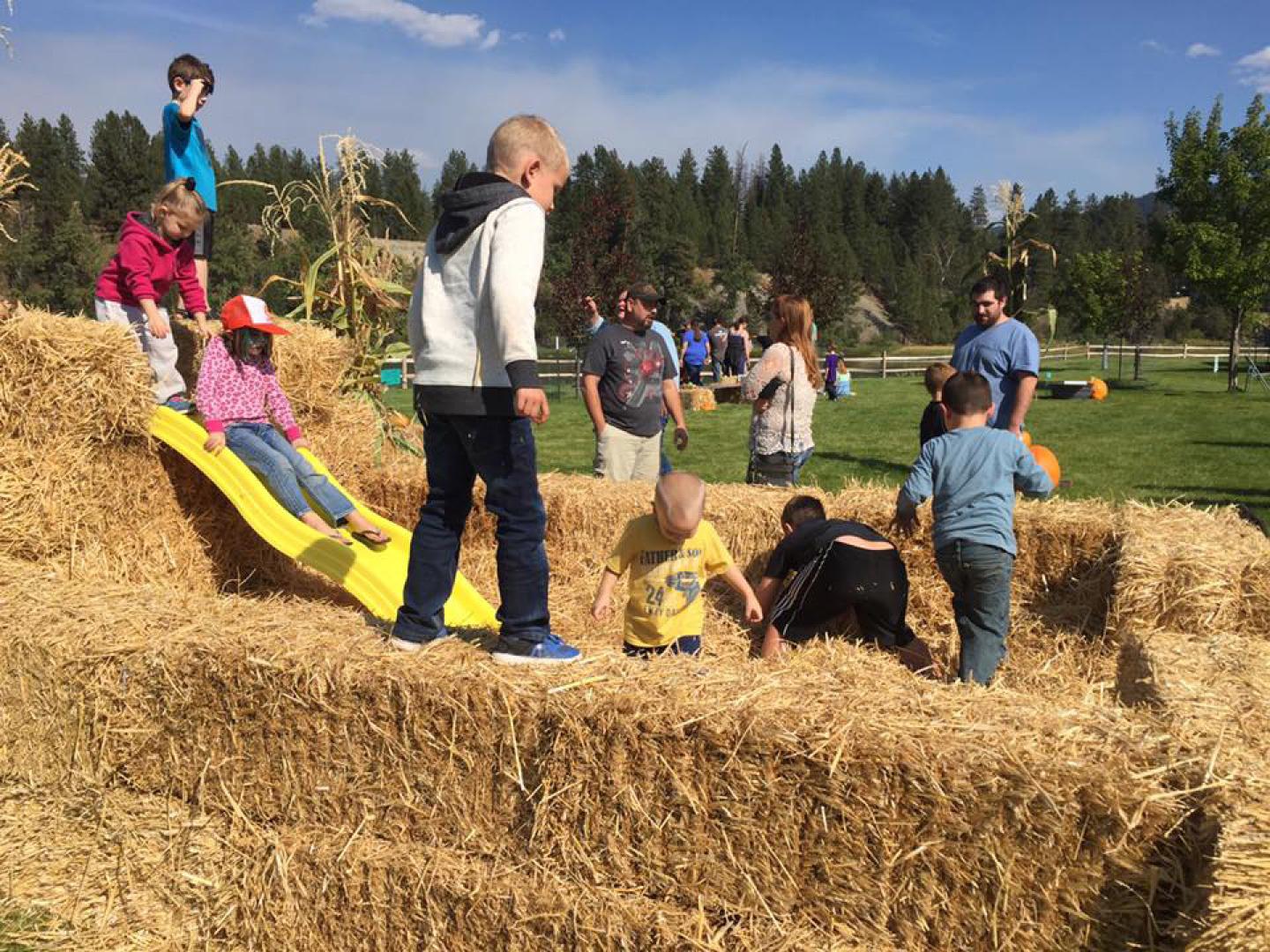 蒙大拿州利比市库特奈丰收节期间的一处干草场