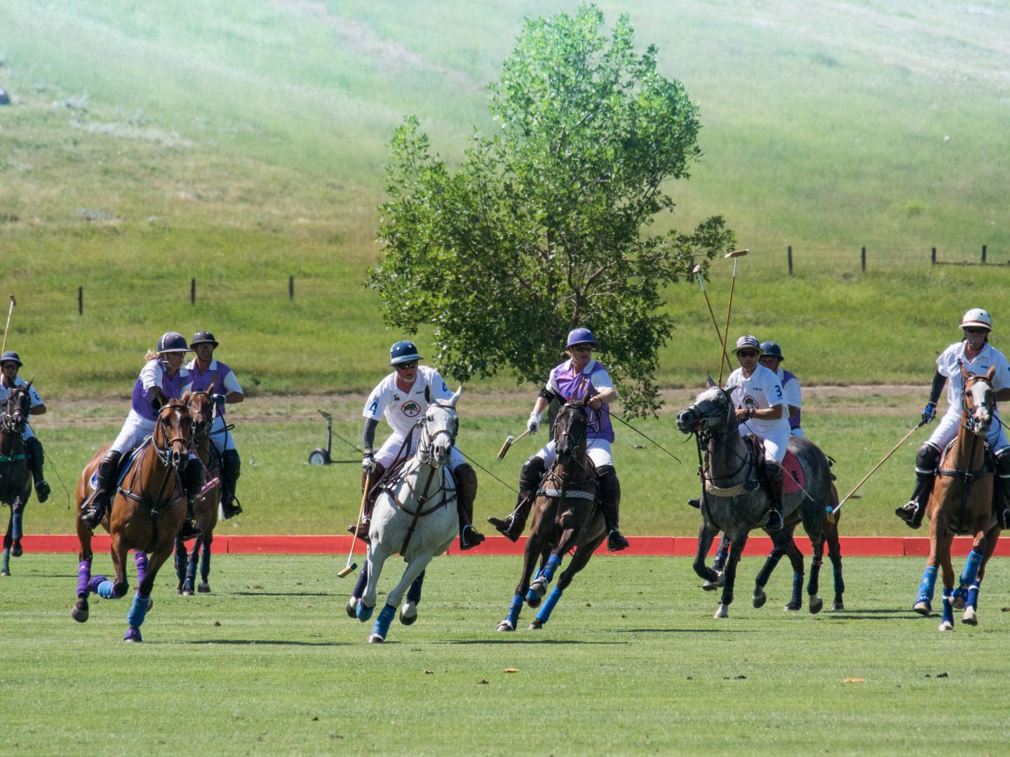 Big Horn Polo 俱乐部 Big Horn Polo 俱乐部
