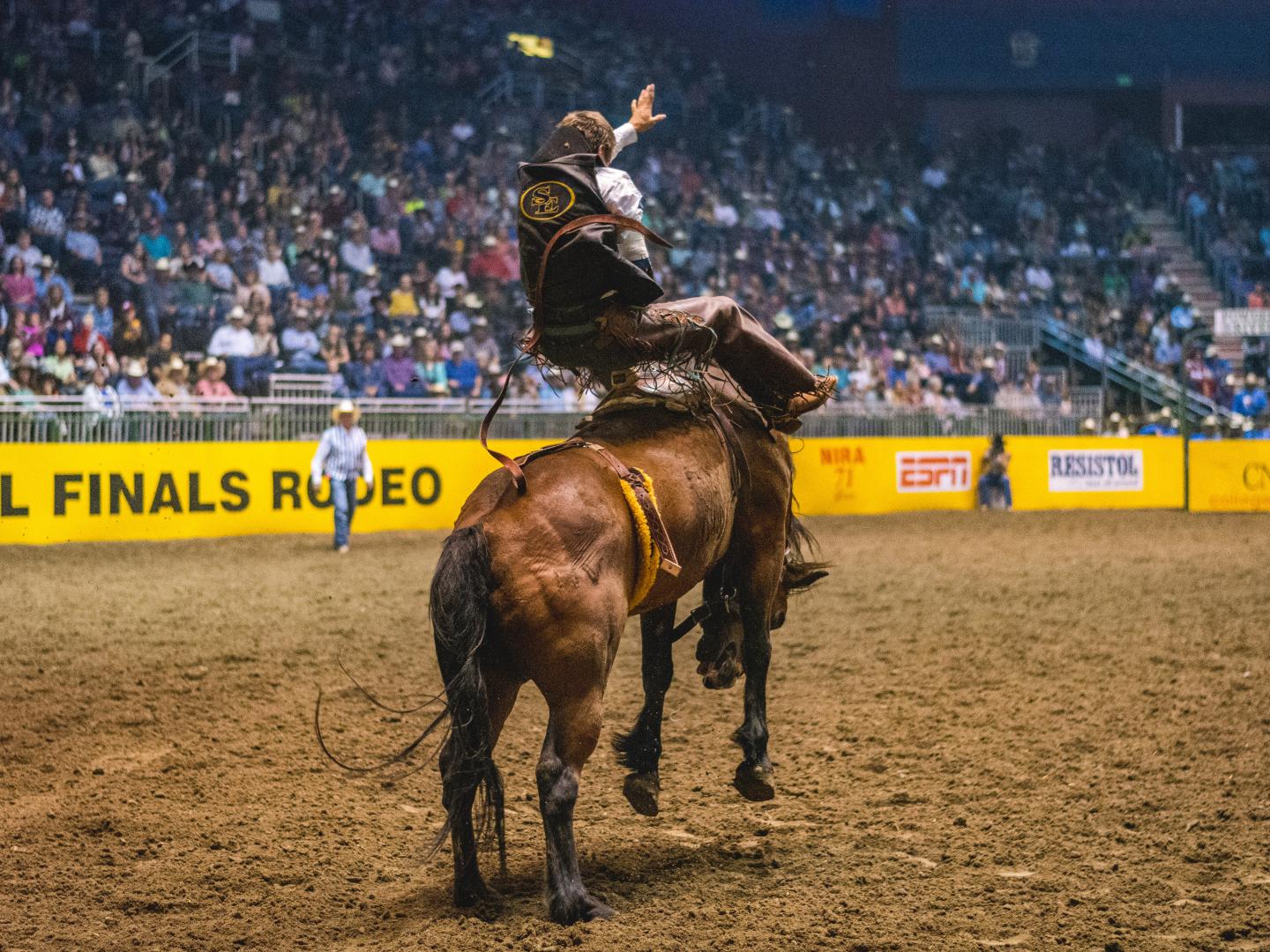 怀俄明州卡斯珀全美学院牛仔竞技总决赛参赛者 怀俄明州卡斯珀全美学院牛仔竞技总决赛参赛者