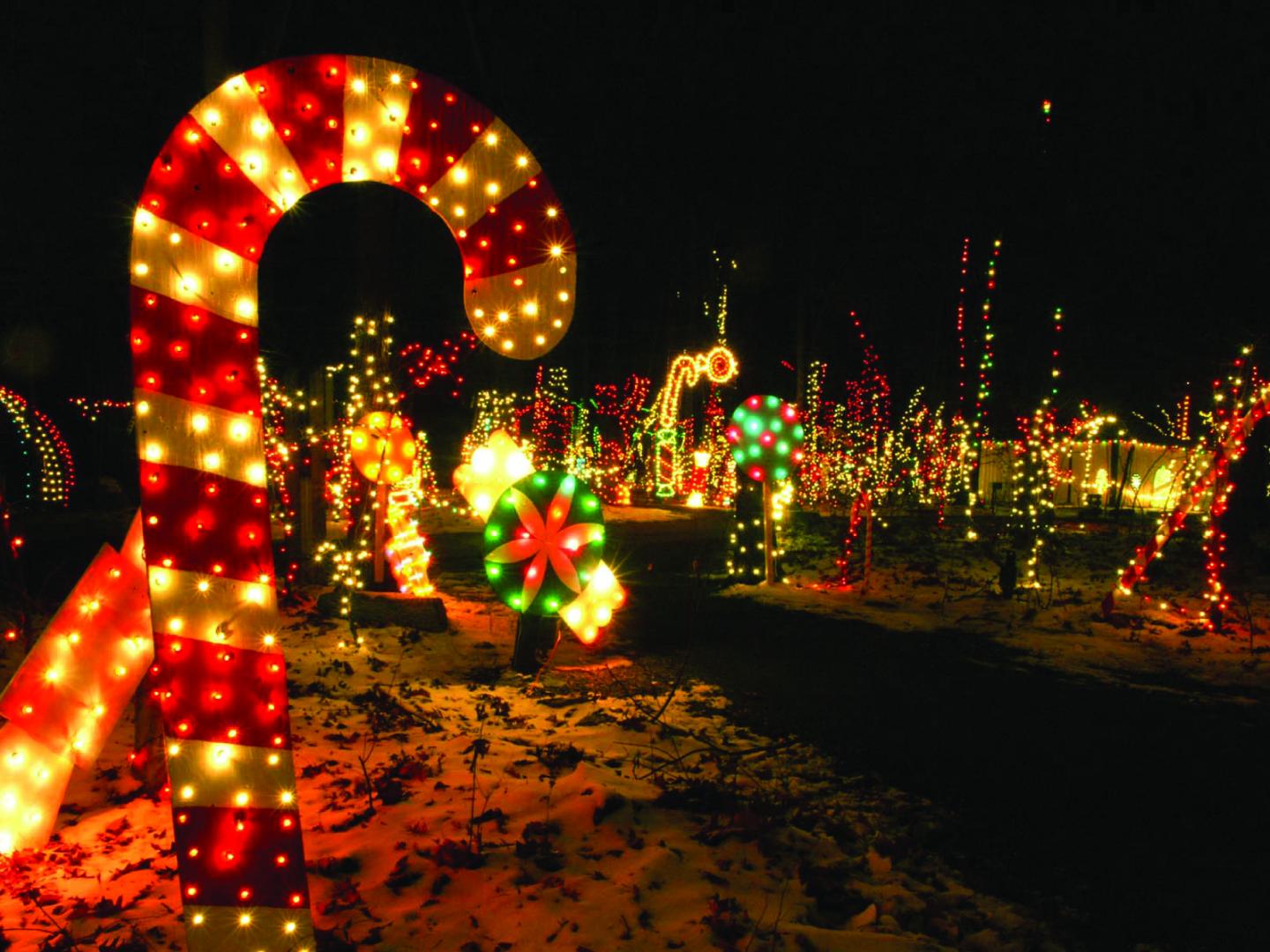 节庆装饰点亮了宾夕法尼亚州约克县附近的科多鲁斯州立公园 (Codorus State Park)