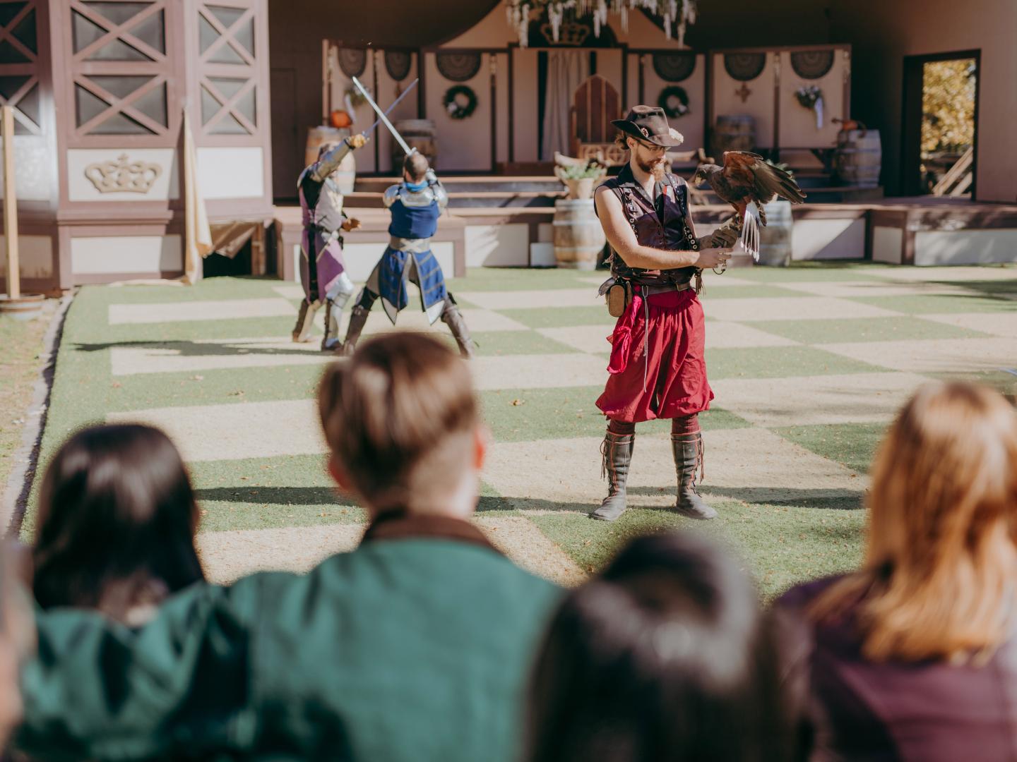 宾夕法尼亚文艺复兴节上的剑术和猎鹰表演