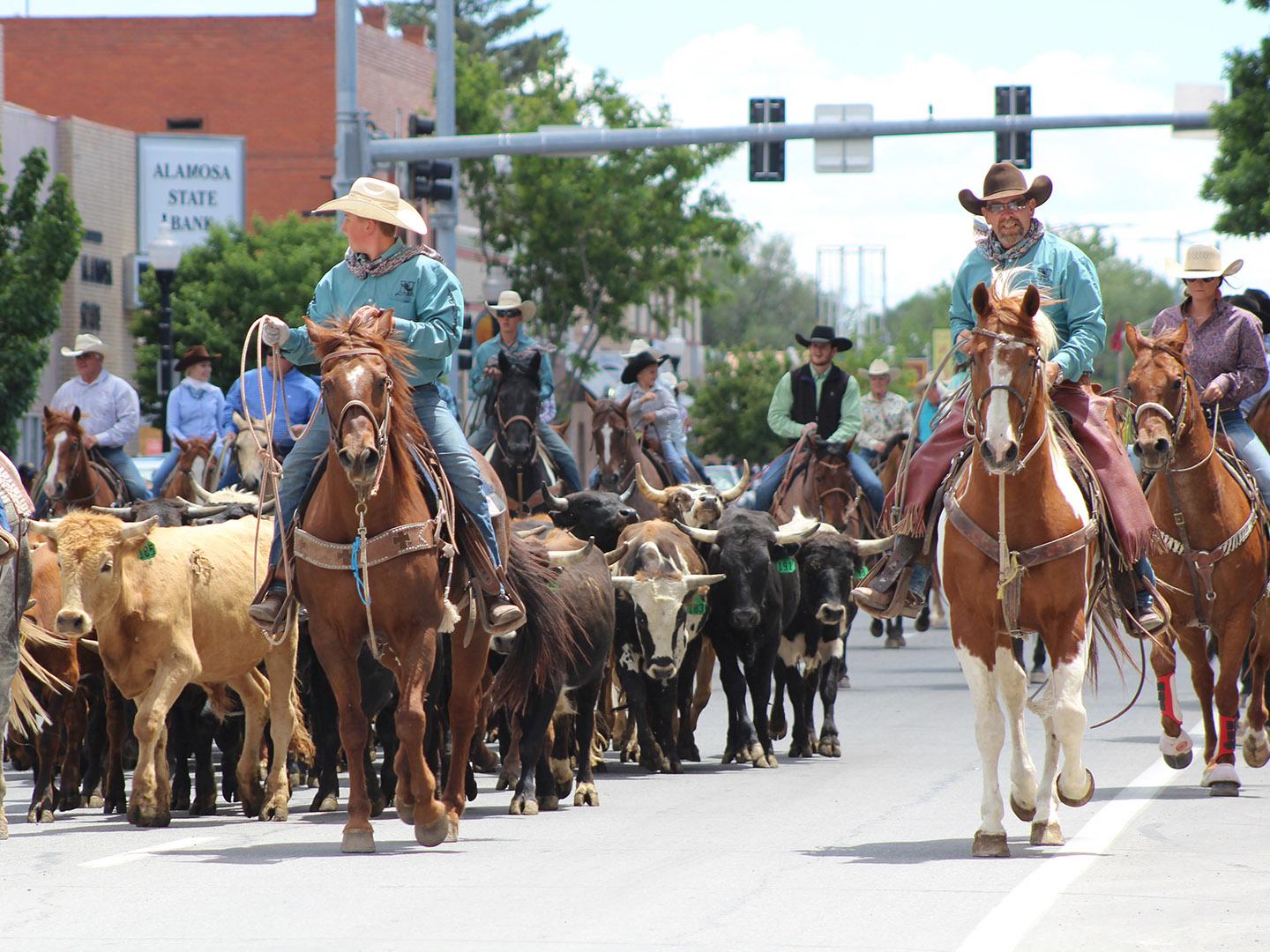 在一年一度的阿拉莫萨牛仔竞技表演活动上,马和长角牛在科罗拉多州阿拉莫萨的街道上游行 在一年一度的阿拉莫萨牛仔竞技表演活动上,马和长角牛在科罗拉多州阿拉莫萨的街道上游行