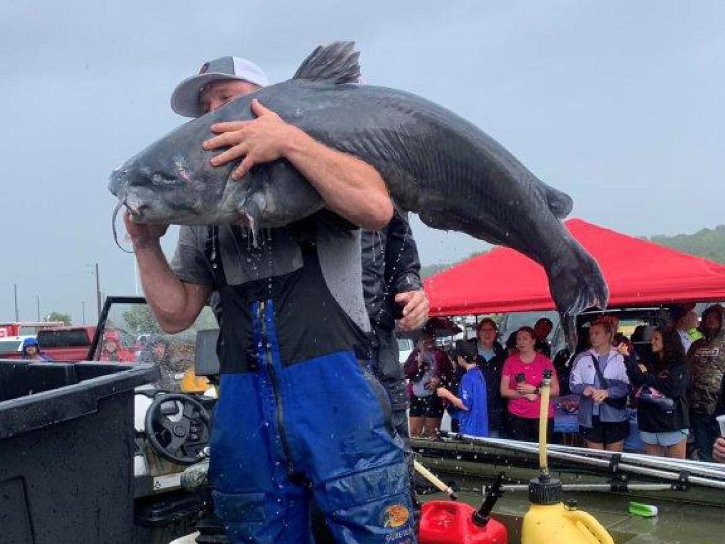 密苏里州圣约瑟夫市年度鲶鱼垂钓锦标赛中钓到的大鲶鱼