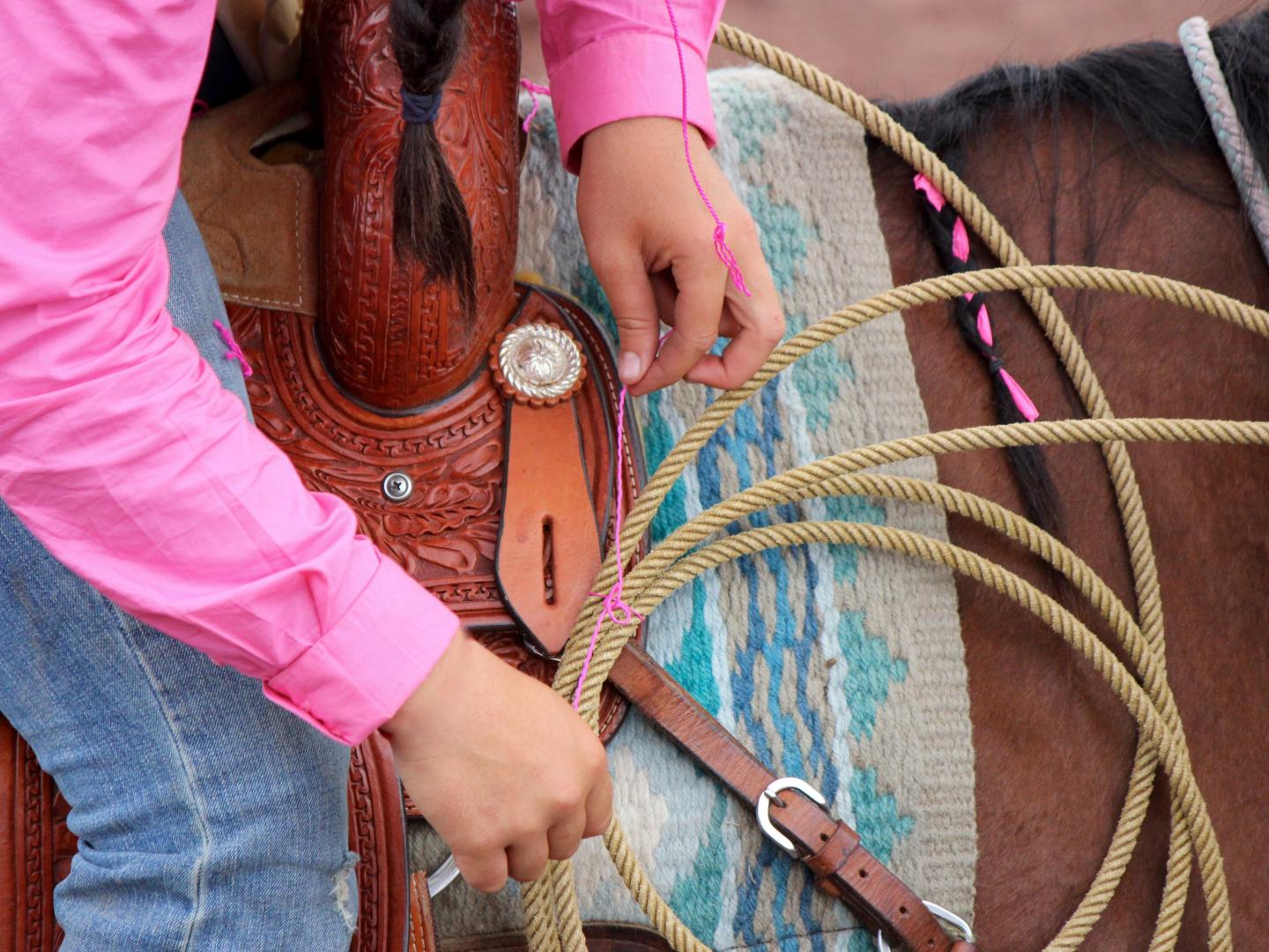 夏威夷岛上，一名骑手正在为 Panaʻewa Rodeo Stampede 牛仔竞技表演系紧绳索