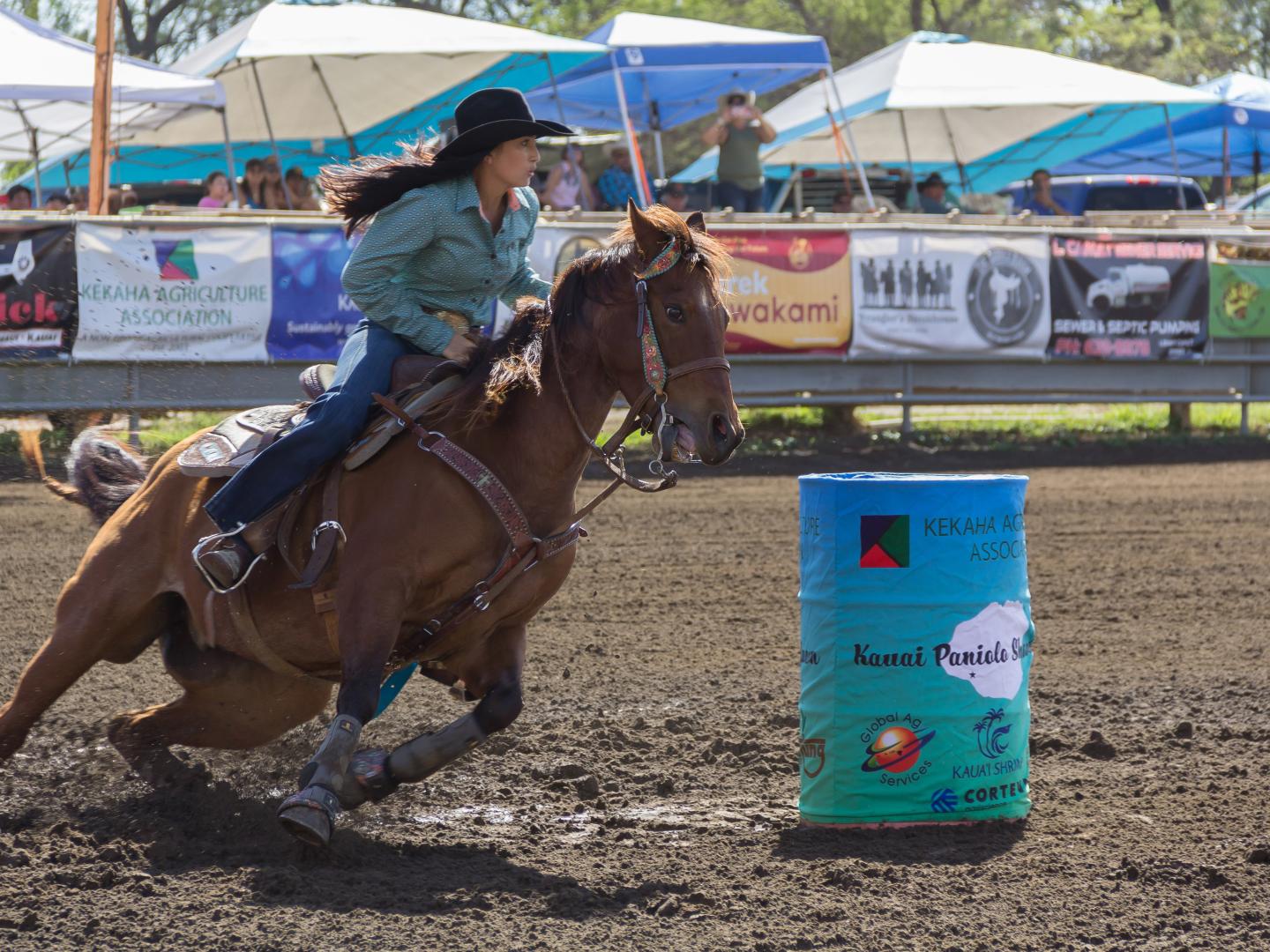 可爱岛威美亚的 Paniolo Rodeo Showdown 牛仔竞技大赛 可爱岛威美亚的 Paniolo Rodeo Showdown 牛仔竞技大赛