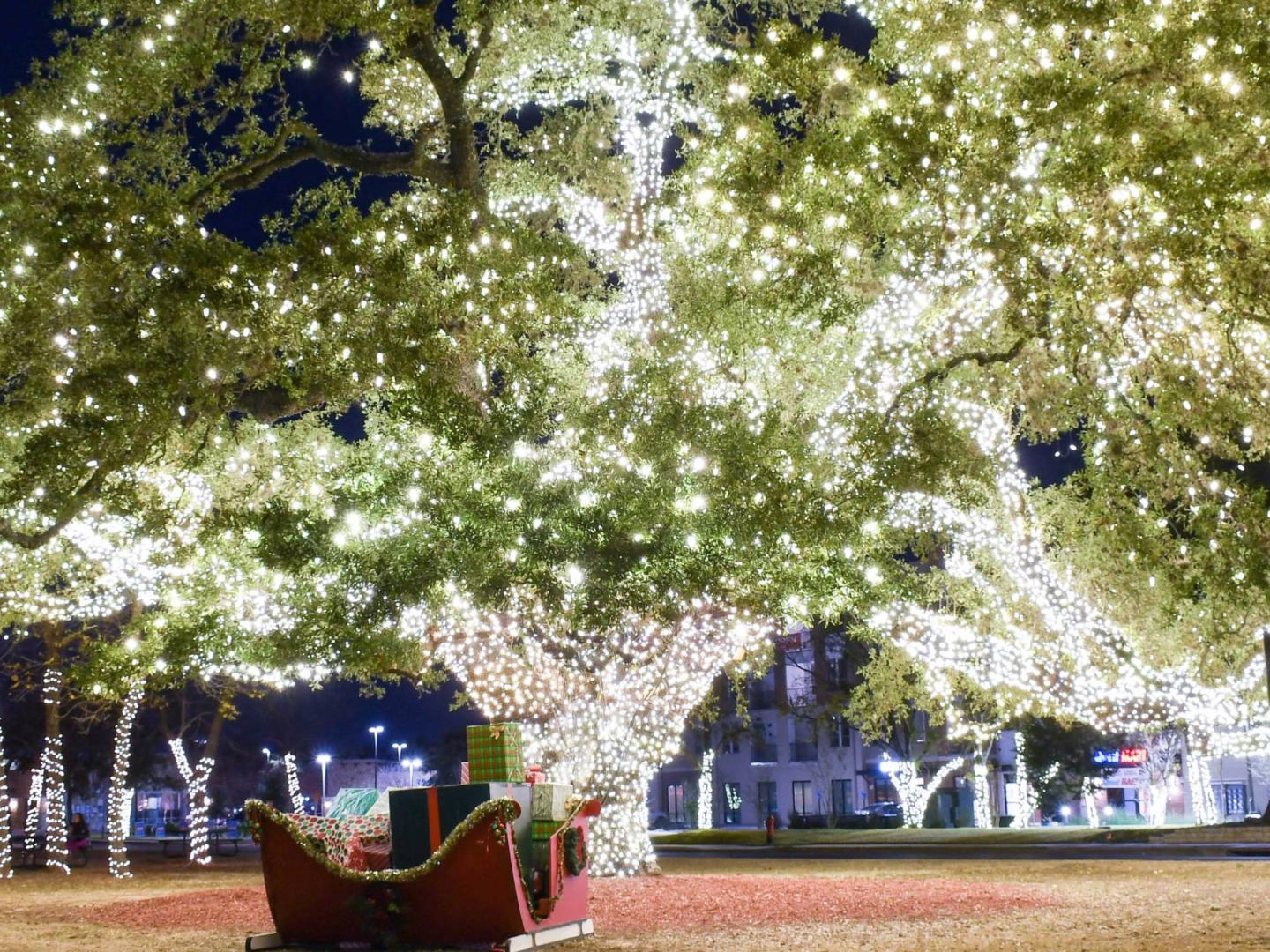 德克萨斯州锡达帕克市的年度树木点亮仪式上一棵被点亮的橡树