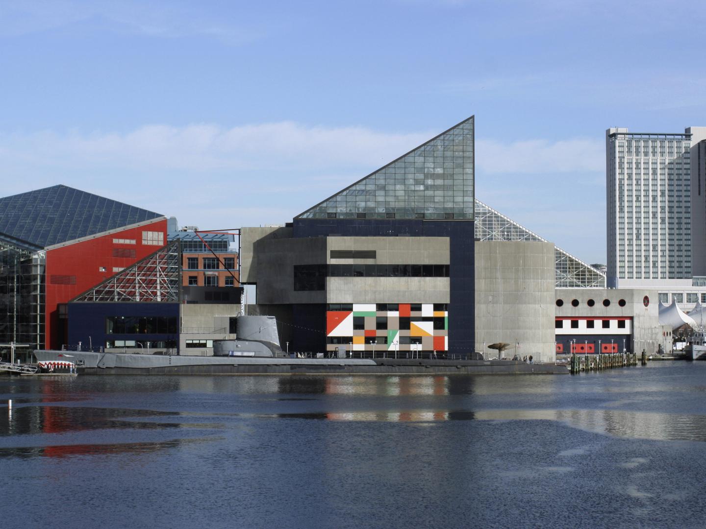 巴尔的摩港的国家水族馆 巴尔的摩港的国家水族馆