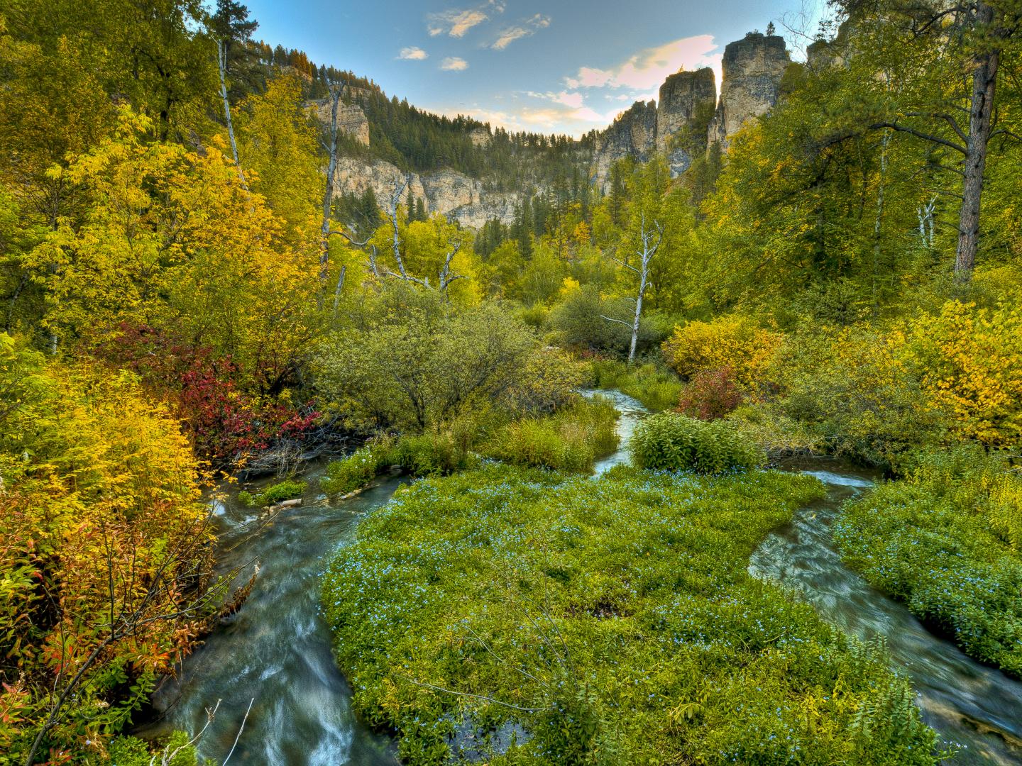 斯皮尔菲什峡谷的锯齿状溪流 斯皮尔菲什峡谷的锯齿状溪流