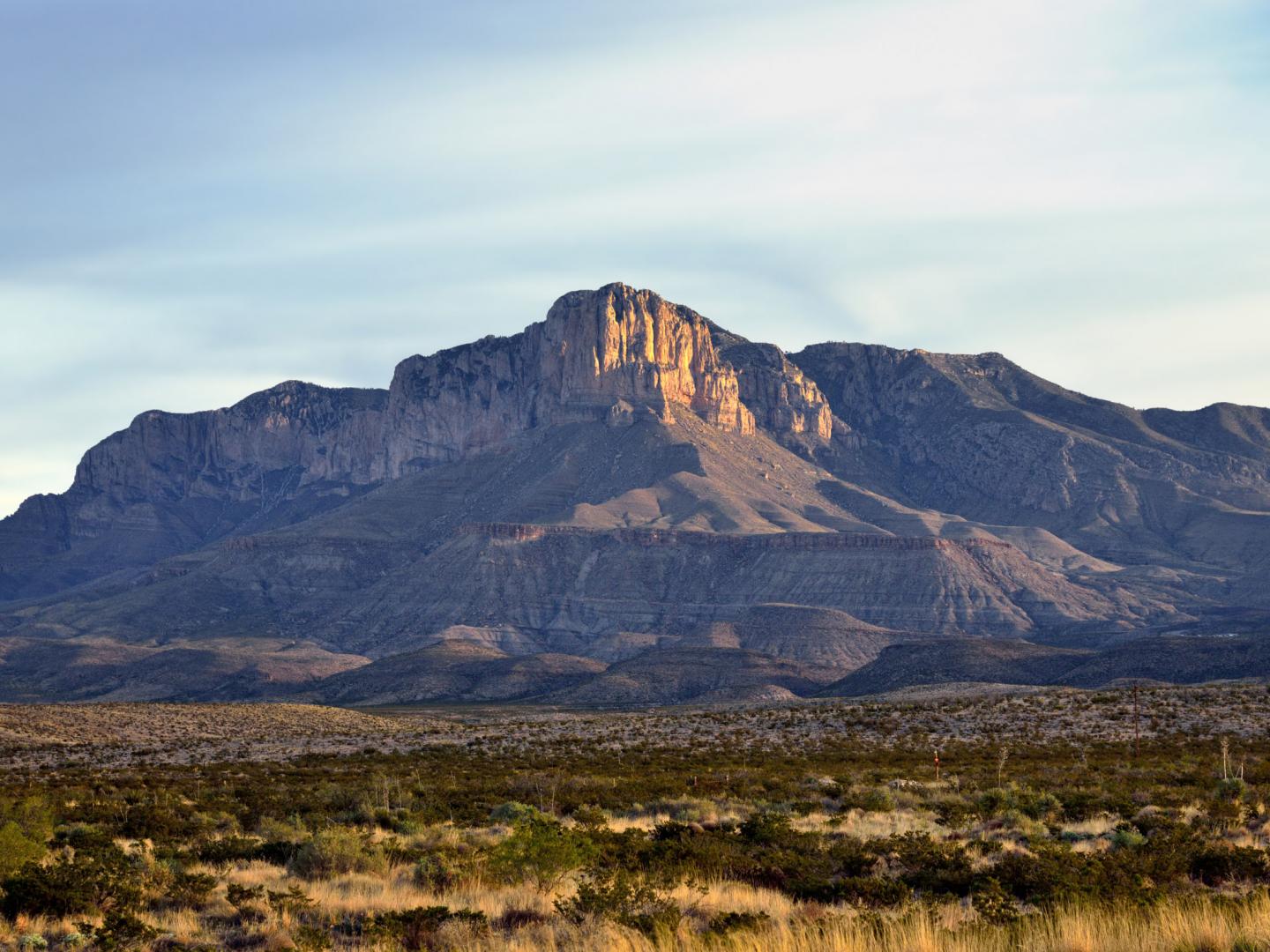 瓜达卢佩山国家公园 瓜达卢佩山国家公园