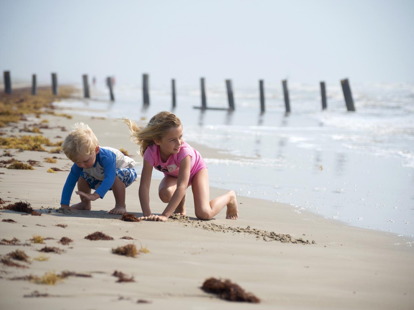 帕德里群岛国家海岸 帕德里群岛国家海岸