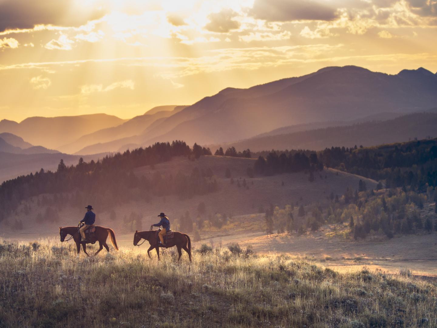 蜿蜒穿过大角山