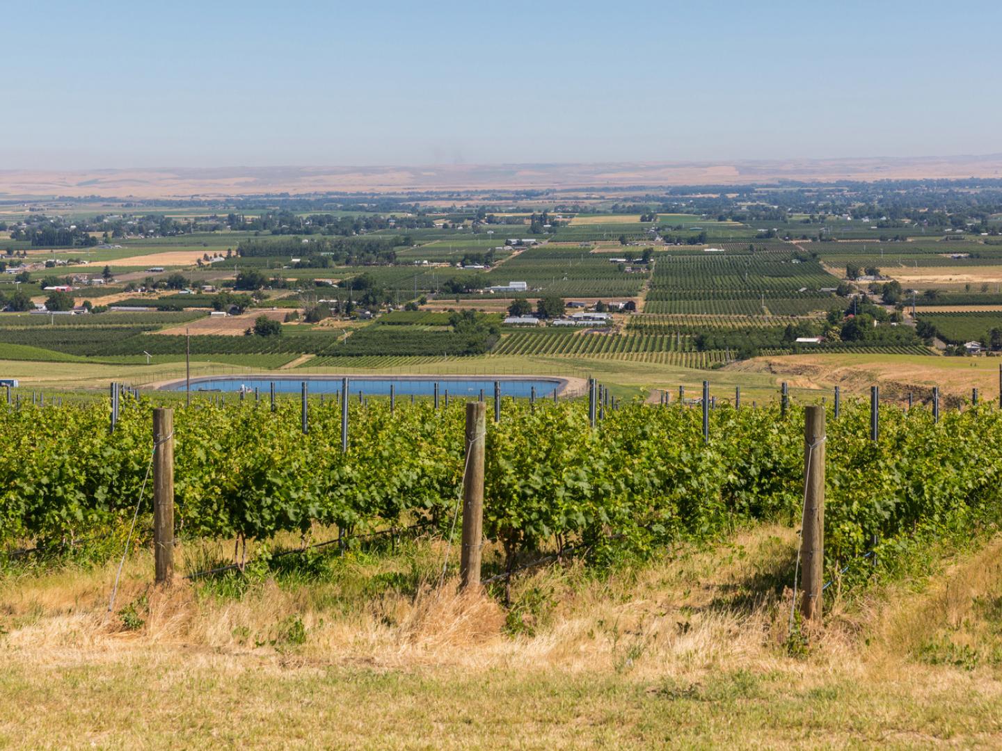 俄勒冈东部酒乡—岩石产区美国葡萄酒产地的美丽风光
