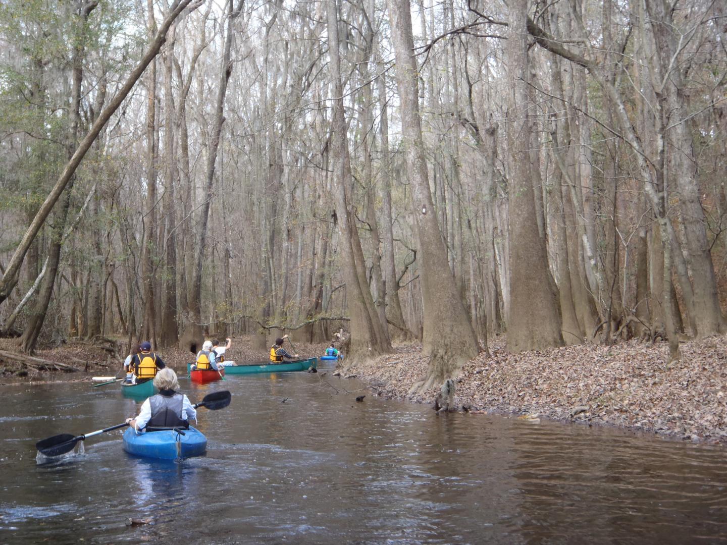 在坎格瑞国家公园划皮划艇 在坎格瑞国家公园划皮划艇