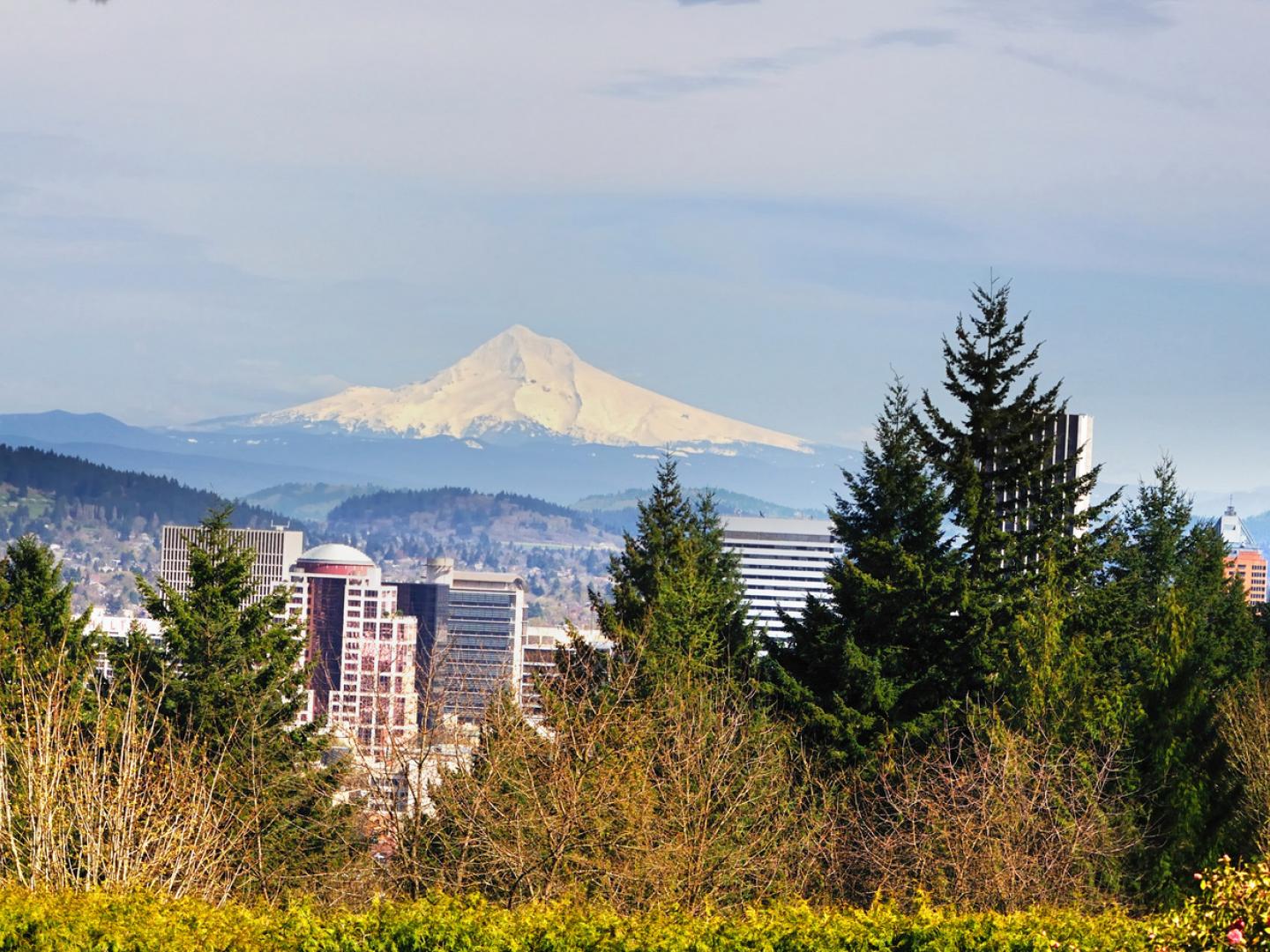 从华盛顿公园欣赏俄勒冈州波特兰的迷人风光 从华盛顿公园欣赏俄勒冈州波特兰的迷人风光