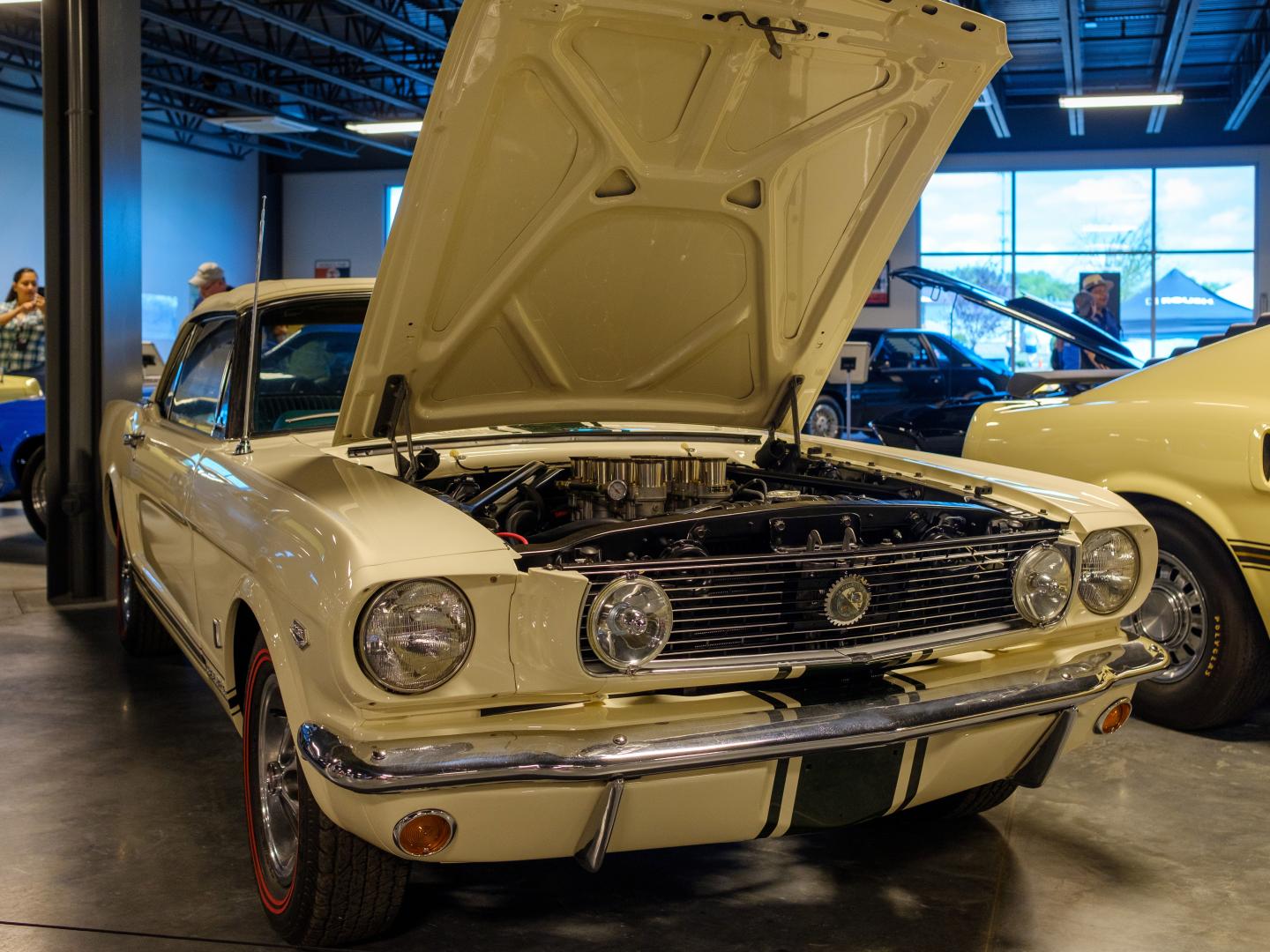 北卡罗来纳州康科德 Mustang Owners Museum 博物馆内展出的经典福特野马车 北卡罗来纳州康科德 Mustang Owners Museum 博物馆内展出的经典福特野马车