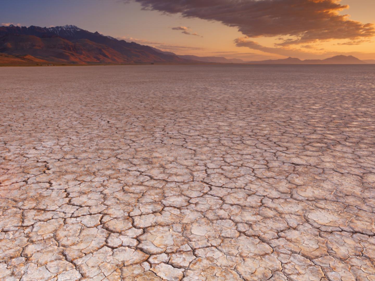 俄勒冈中部地区辽阔的阿尔沃德沙漠