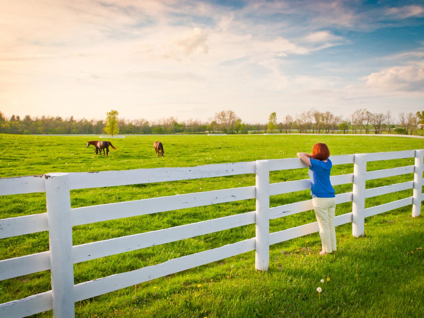Woman touring a horse farm in Lexington, Kentucky