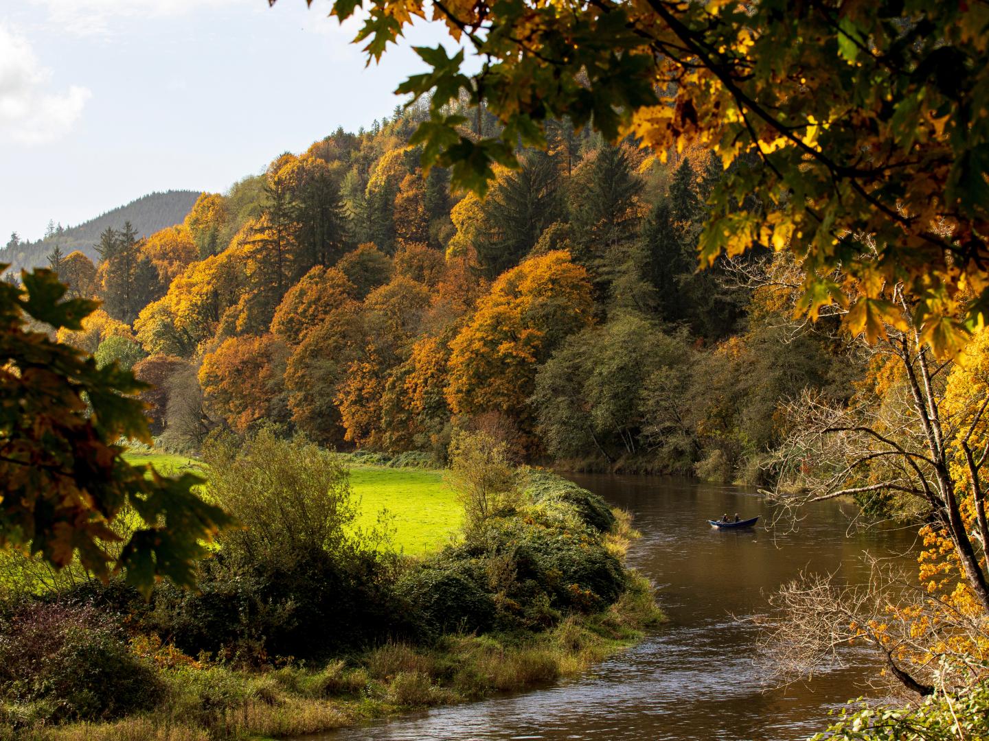 俄勒冈州内斯图卡河畔的秋日美景