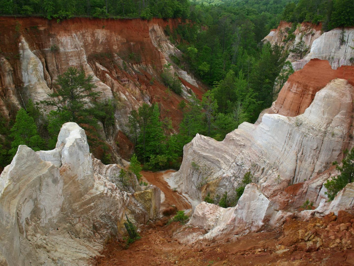 位于佐治亚州兰普金的普罗维登斯峡谷州立公园 位于佐治亚州兰普金的普罗维登斯峡谷州立公园