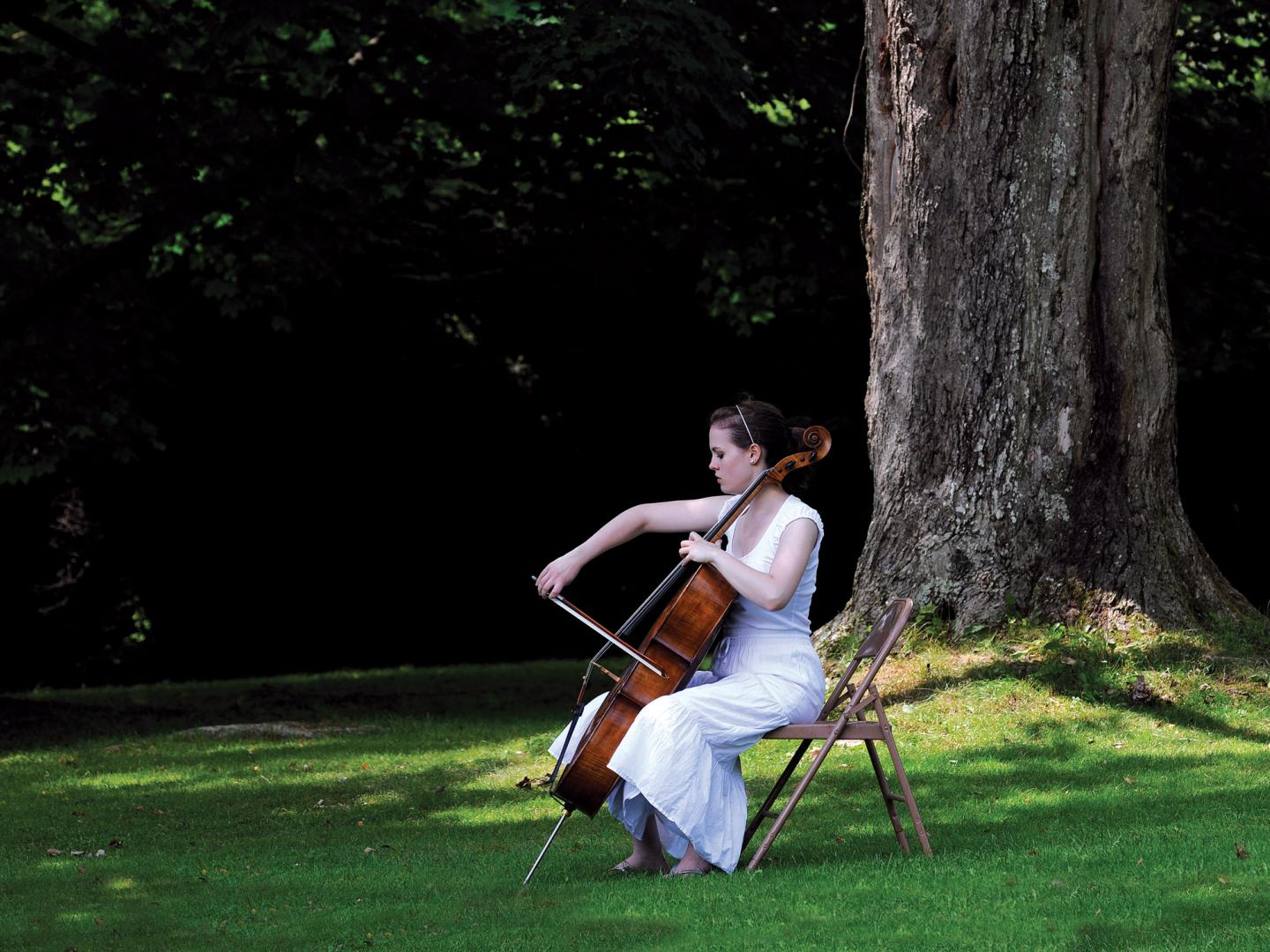 马萨诸塞州莱诺克斯坦格尔伍德的大提琴家