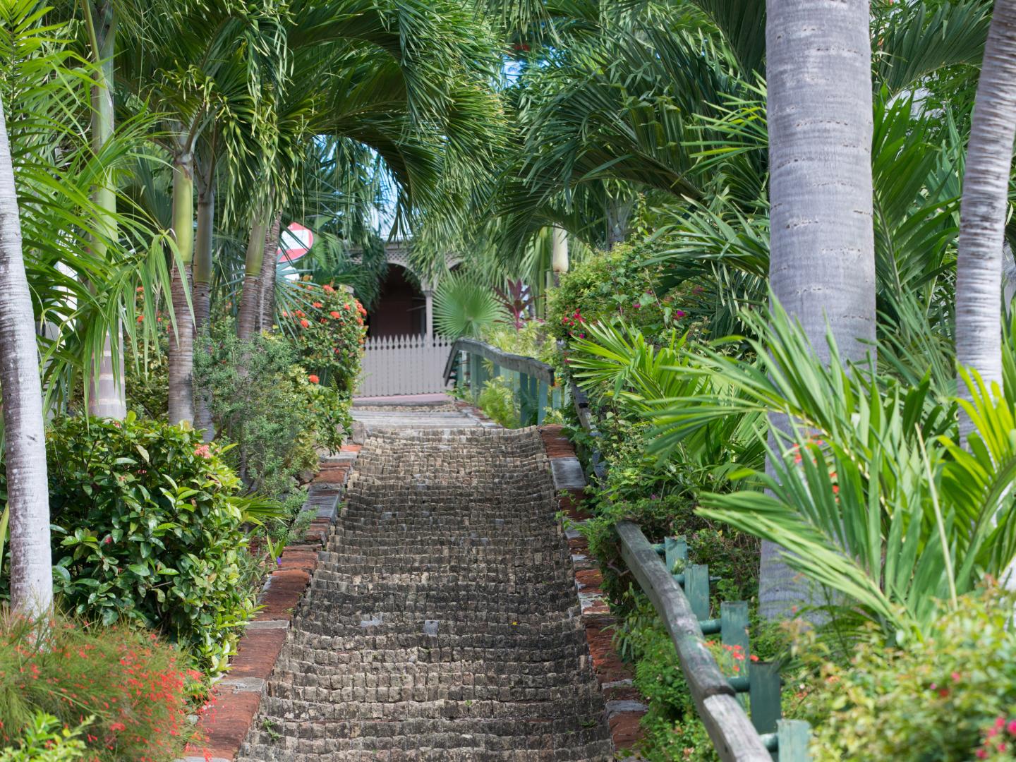 圣托马斯岛夏洛特阿马利亚的 99 级阶梯