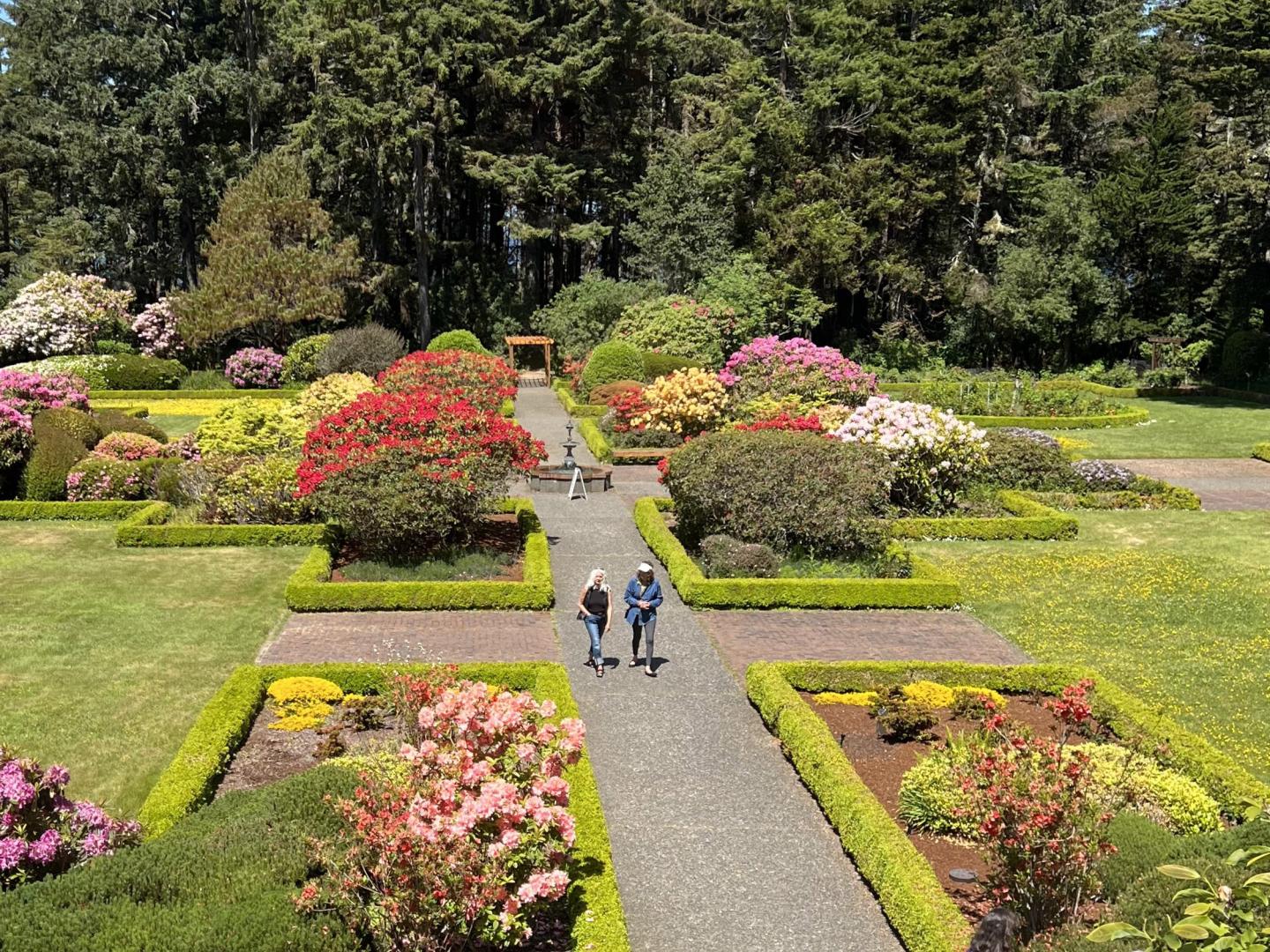 俄勒冈州库斯湾外的海岸英亩州立公园里五彩缤纷的花园