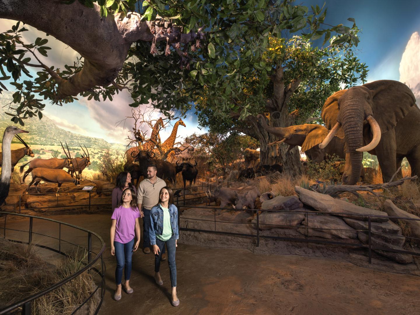 一家人在密苏里州斯普林菲尔德野生动物奇观国家博物馆和水族馆内参观