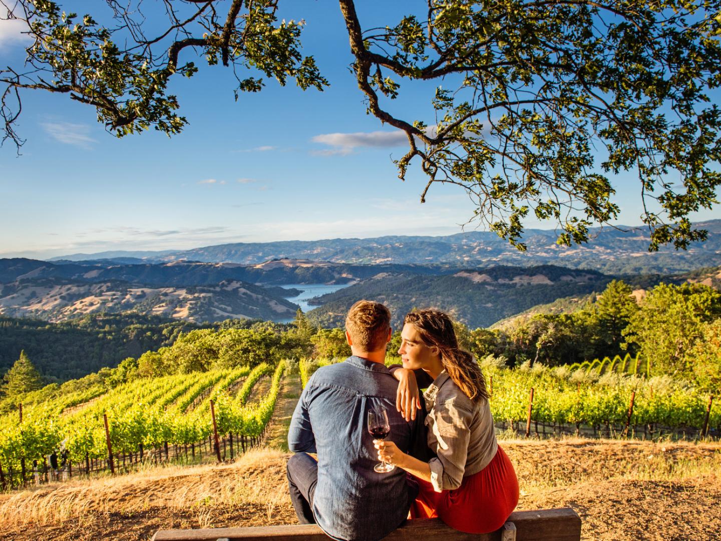 一对伴侣在加利福尼亚州索诺马县 Dry Creek Vineyard 酒厂一边欣赏秀美的风景，一边品尝美酒佳酿