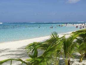 Les plages bordées de palmiers de l’île Managaha à Saipan Les plages bordées de palmiers de l’île Managaha à Saipan