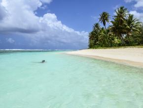 潜水员拍摄水下风景 潜水员拍摄水下风景