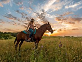 骑上马背,探索 Circle S 牧场 骑上马背,探索 Circle S 牧场