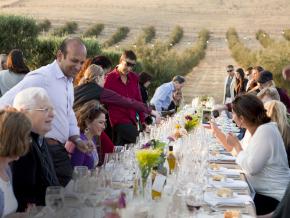 在葡萄园的晚宴上品尝当地葡萄酒