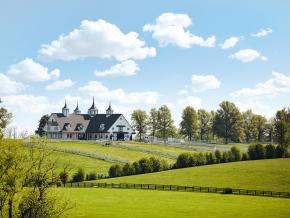 列克星敦肯塔基赛马公园连绵起伏的草地 列克星敦肯塔基赛马公园连绵起伏的草地