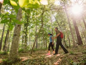 在霍布斯州立公园保护区 (Hobbs State Park-Conservation Area) 远足 在霍布斯州立公园保护区 (Hobbs State Park-Conservation Area) 远足