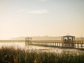 德克萨斯州博蒙特 Cattail Marsh Scenic Wetlands & Boardwalk 湿地的黎明晨雾