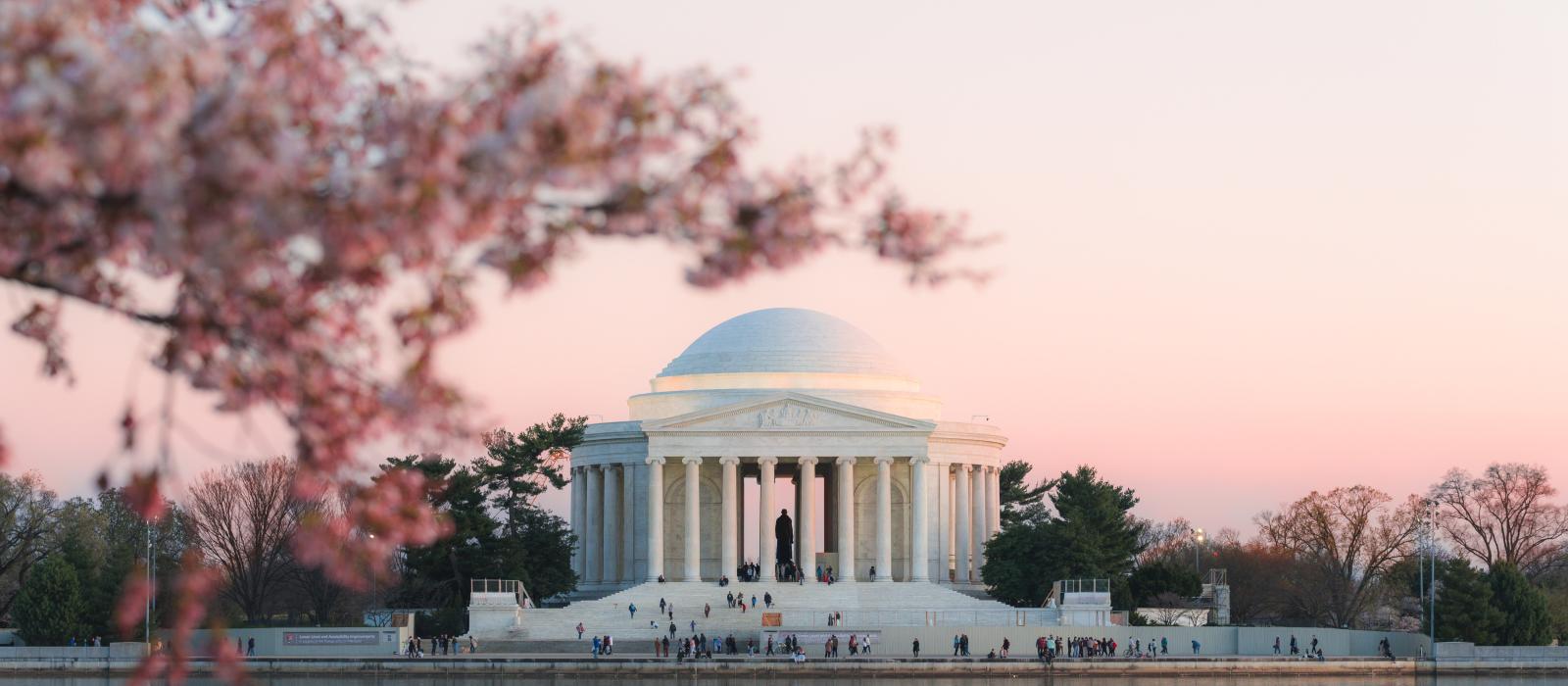 华盛顿哥伦比亚特区杰斐逊纪念堂附近樱花盛开 华盛顿哥伦比亚特区杰斐逊纪念堂附近樱花盛开