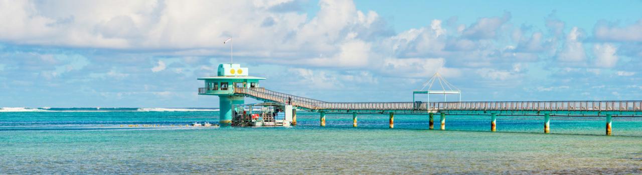 伸出皮提湾的鱼眼海洋公园码头 伸出皮提湾的鱼眼海洋公园码头