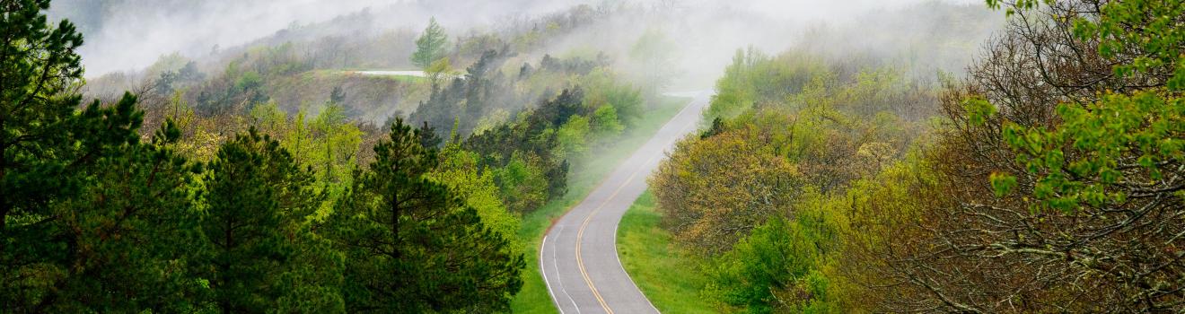 Talimena Scenic Drive 景观车道上的盘山公路 Talimena Scenic Drive 景观车道上的盘山公路