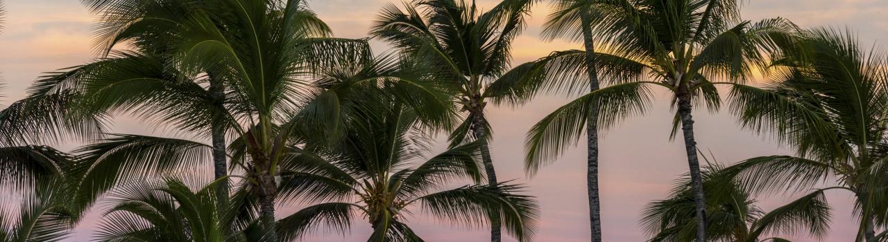 太阳从夏威夷群岛的太平洋海岸线上升起