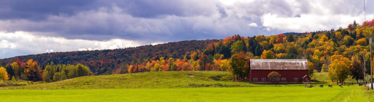 佛蒙特州斯托乡间的绚烂秋叶