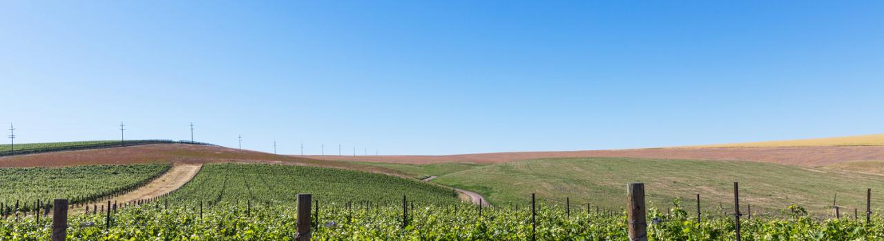 俄勒冈东部酒乡