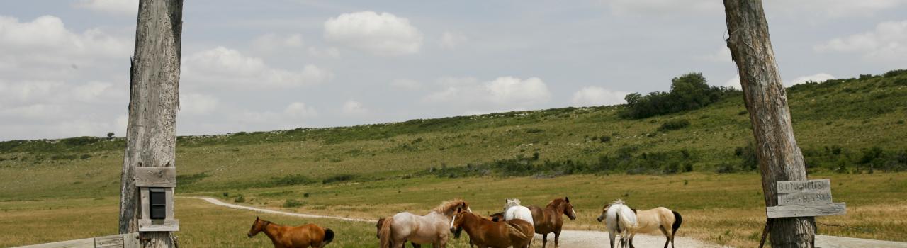 堪萨斯州克莱门茨一家名为 Flying W 的观光牧场的大门。